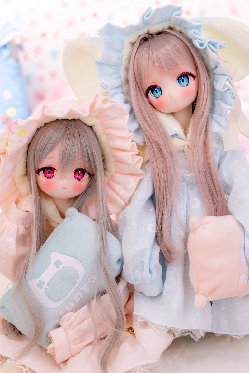 ミニピンさんボステリさんアメコさんのポンポンドール♪ ミニピンさんボステリさんアメコさんのポンポンドール♪