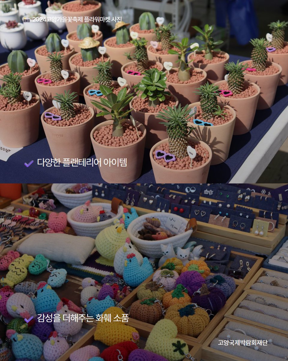 🌸 고양 플라워마켓 🌸

고양시 화훼 농가의 직거래 장터와 감성적인 화훼 소품까지,
볼거리 가득한 고양 플라워마켓 🌿

✔ 국화, 다육이, 선인장 등 인기 만점 화분
✔ 다양한 플랜테리어 아이템
✔ 감성을 더해주는 화훼 소품

📍 고양가을꽃축제 고양 플라워마켓
📅 2025. 9. 19.(금) ~ 9. 30.(화)