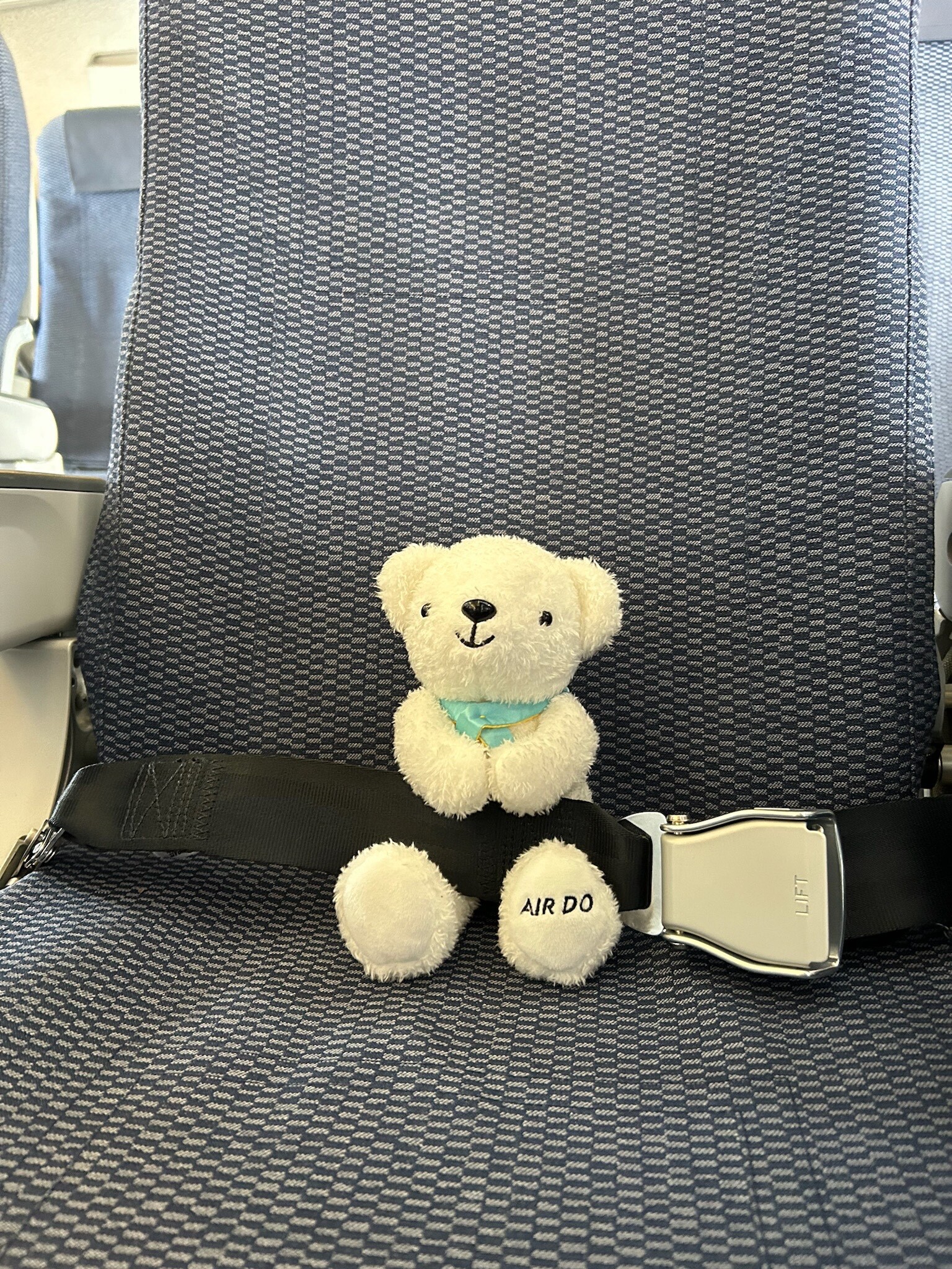 くまきち (@kumakichi_kun) / X