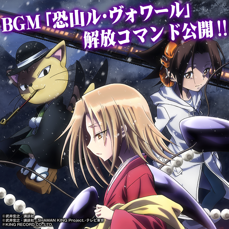 eｼｬｰﾏﾝｷﾝｸﾞ