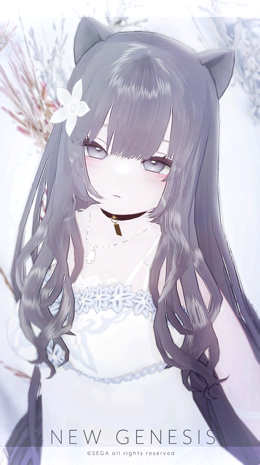 せんよう♡のん様•*¨*•.¸♬︎ 𓅓𓄿𓎼𓇋𓎡 - YouTube