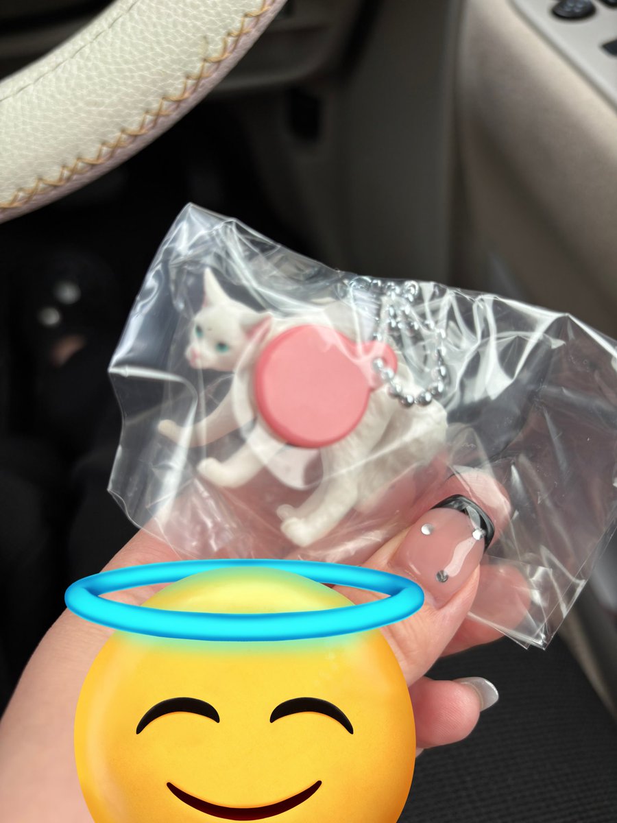 miichaaan3333's tweet image. やんのか猫 マスコット 交換探してます

【譲】白
【求】はちわれ

郵送のみでお願いします📮

#やんのか猫 #ガチャガチャ交換