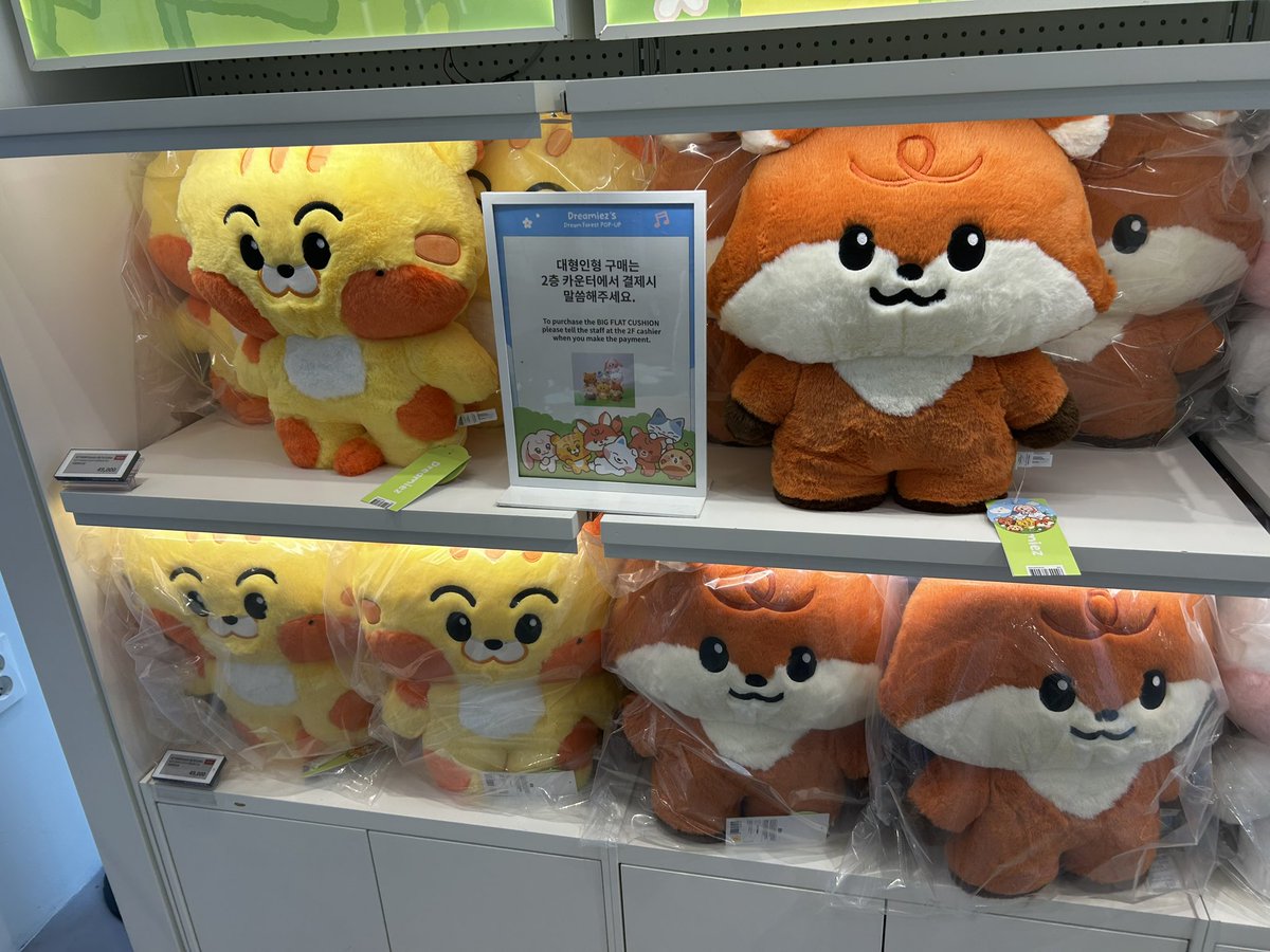 NCT DREAM DREAMIEZ POP-UP with LINE FRIENDS 엔시티드림 드리미즈