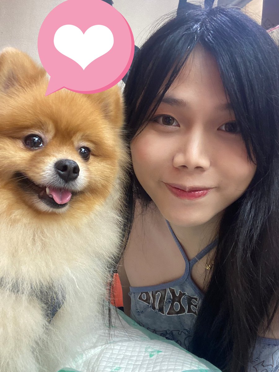 BubblesTse's tweet photo. 狗狗可愛啲定我可愛啲🙈 #偽娘 #cdts #藥娘 https://t.co/7SycUVZ3Ls
