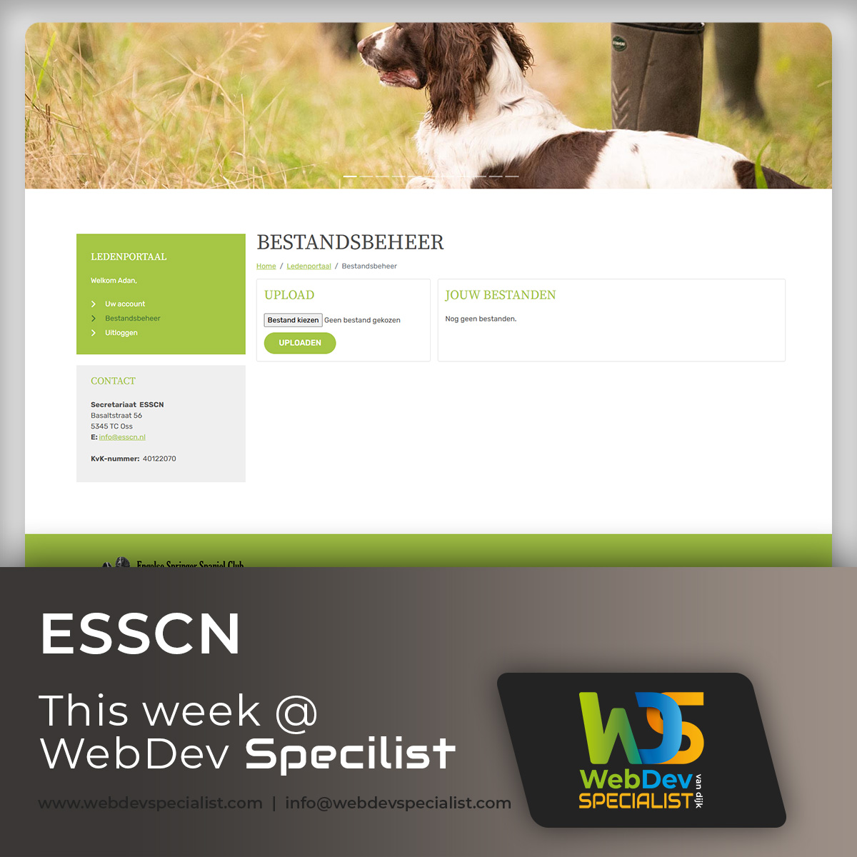 webdevspecial's tweet image. Laatste week zomeractie
Maatwerk website met CMS
€ 150 p/m (eerste 3 maanden)
Vraag info via webdevspecialist.com
Party Alarm, Viking Cable, Alucol, ESSCN
#WebDevSpecialist #freelancer