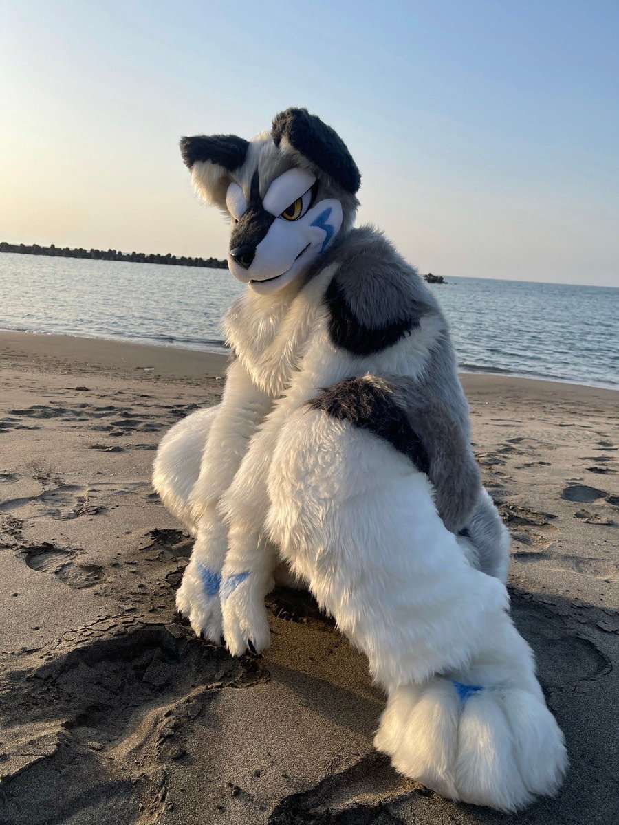 🐺✨✨🐾
#FursuitFriday