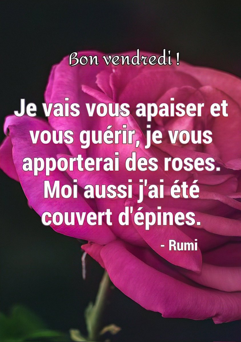 lyla 💞 💫 tweet media