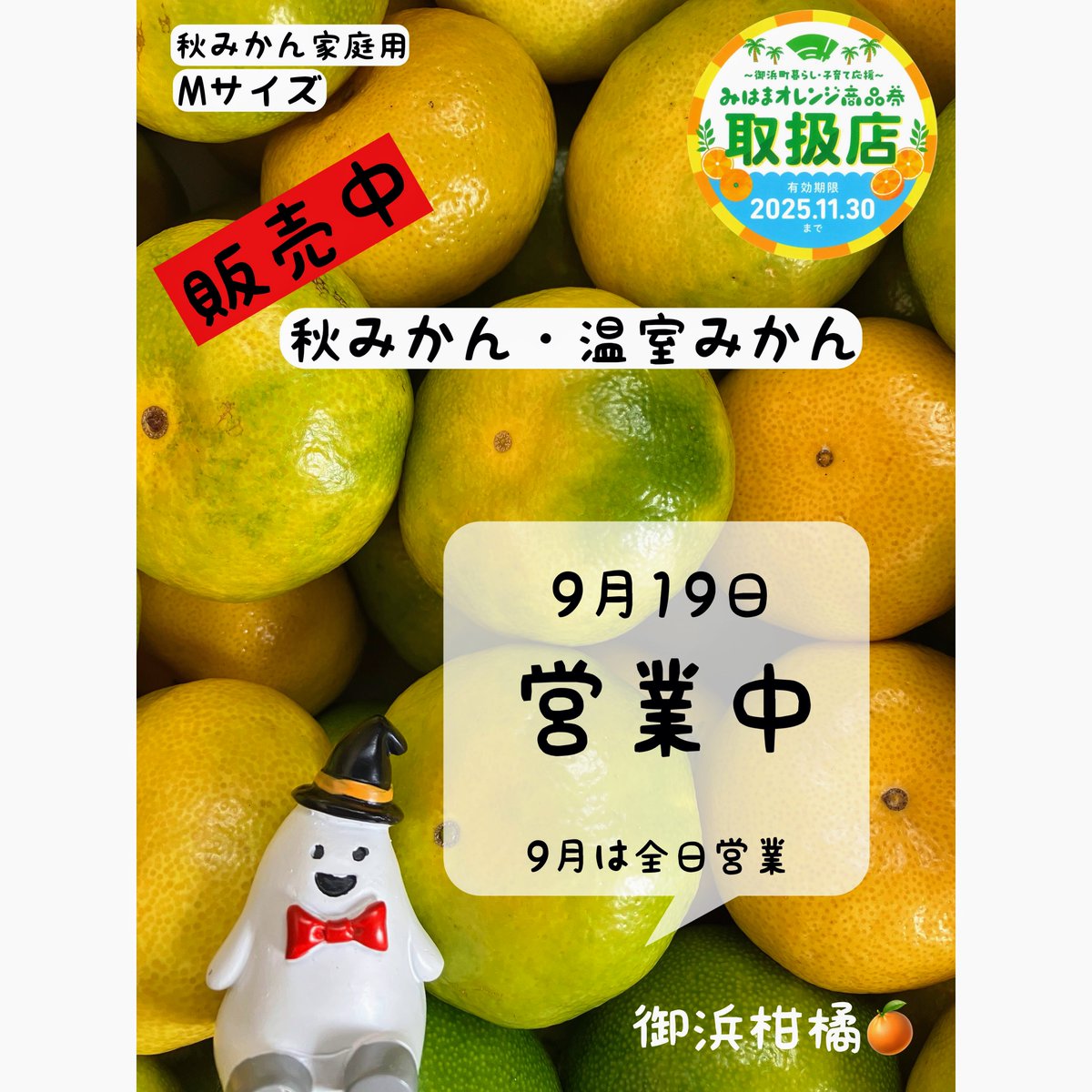 みかん 温州みかん（大津）🍊5キロ♡LLサイズ | 柑橘直送 YAJIMA農園