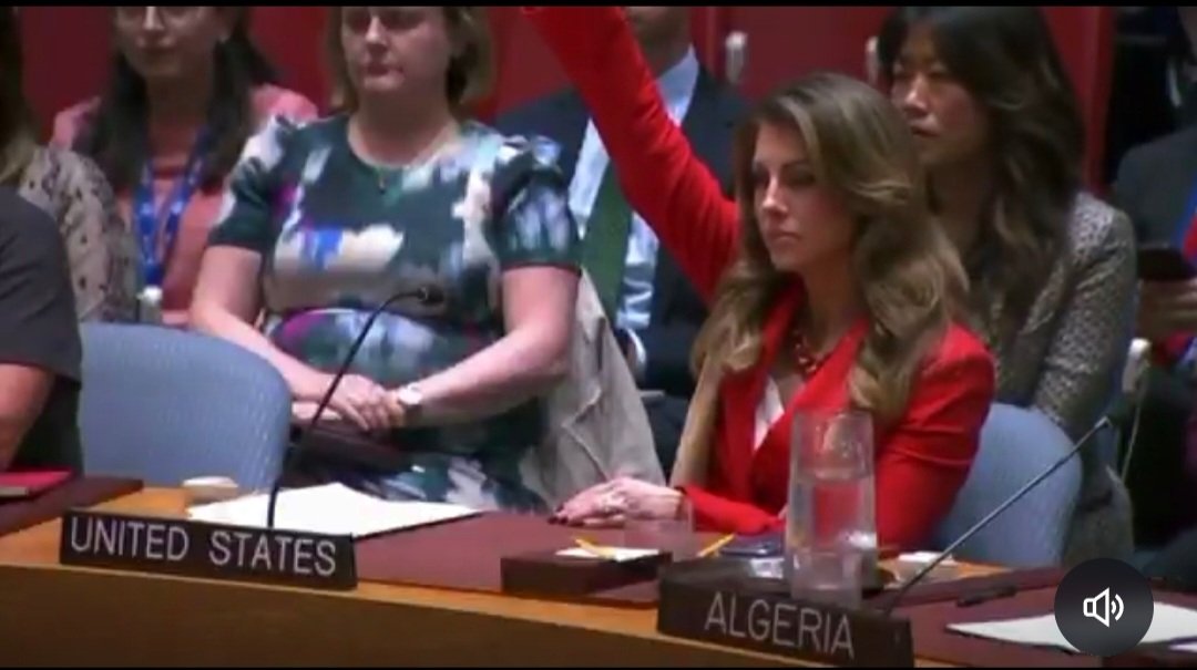 WanderingSally's tweet image. This is the US using their veto to make sure that Israel can continue attacking clearly marked aid vehicles and continue their genocide of Palestinians. 
Why else would you shoot at a water truck? 
#USTerrorState