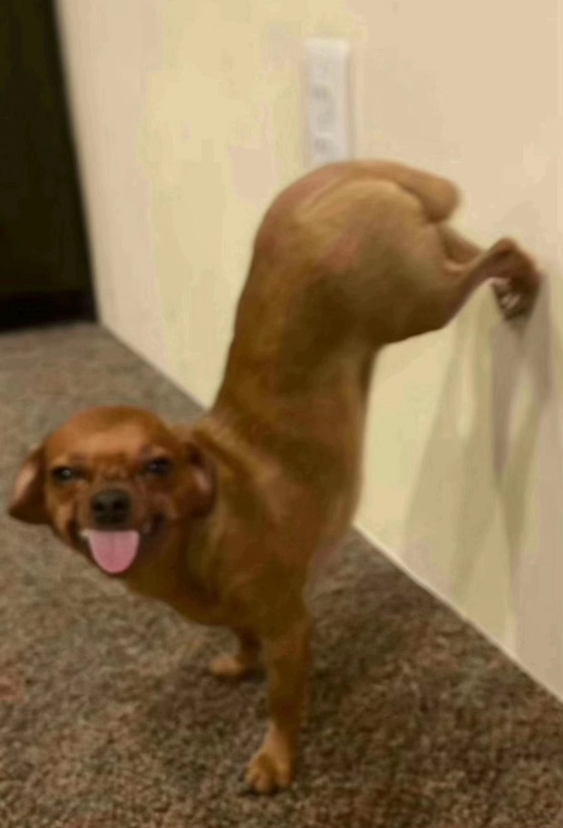 <a href="/BIONICVOLTAGE/">୧ ‧₊˚ 𝓌inter s̶old̲i̲e̲r̲ ⋅ ☆</a>