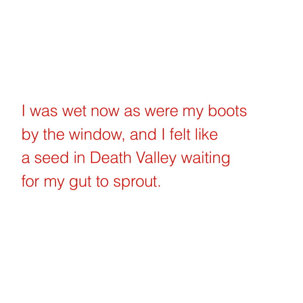 Michael Madsen poem of the month, featured on the newly remade michaelmadsen.com

#poem #michaelmadsen #poetry #madsen #lhf #lowhangingfruit