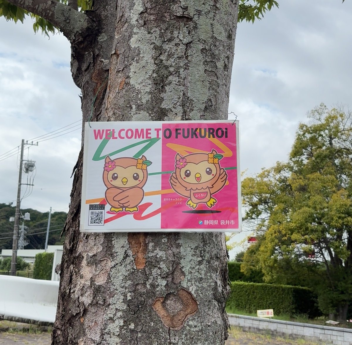 イベント期間中、愛野駅にウェルカムポスターを掲示しているのです！
アーティストさん、ファンの皆さんようこそ袋井市へ(。＞θ＜。）
結成22周年おめでとうなのです🎊
#愛野駅 #エコパ #フッピー #袋井市 
#NEWS #NEWS_変身 <a href="/NEWS0915_music/">NEWS | ELOV-Label</a>