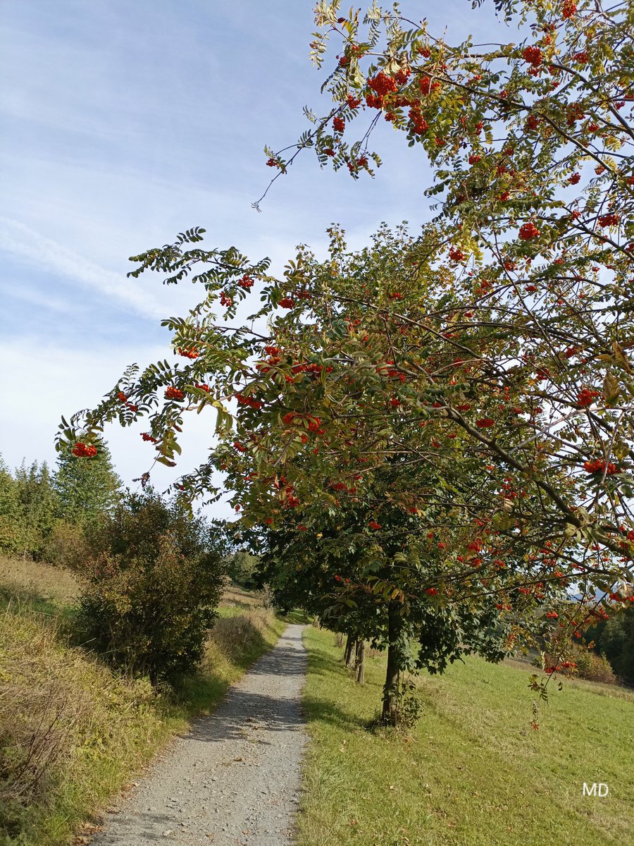 Martina Dvorská (@martinadvorsk2) on Twitter photo 