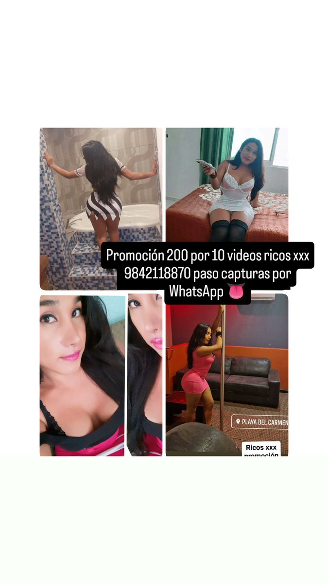 Alondra Caamal tweet media