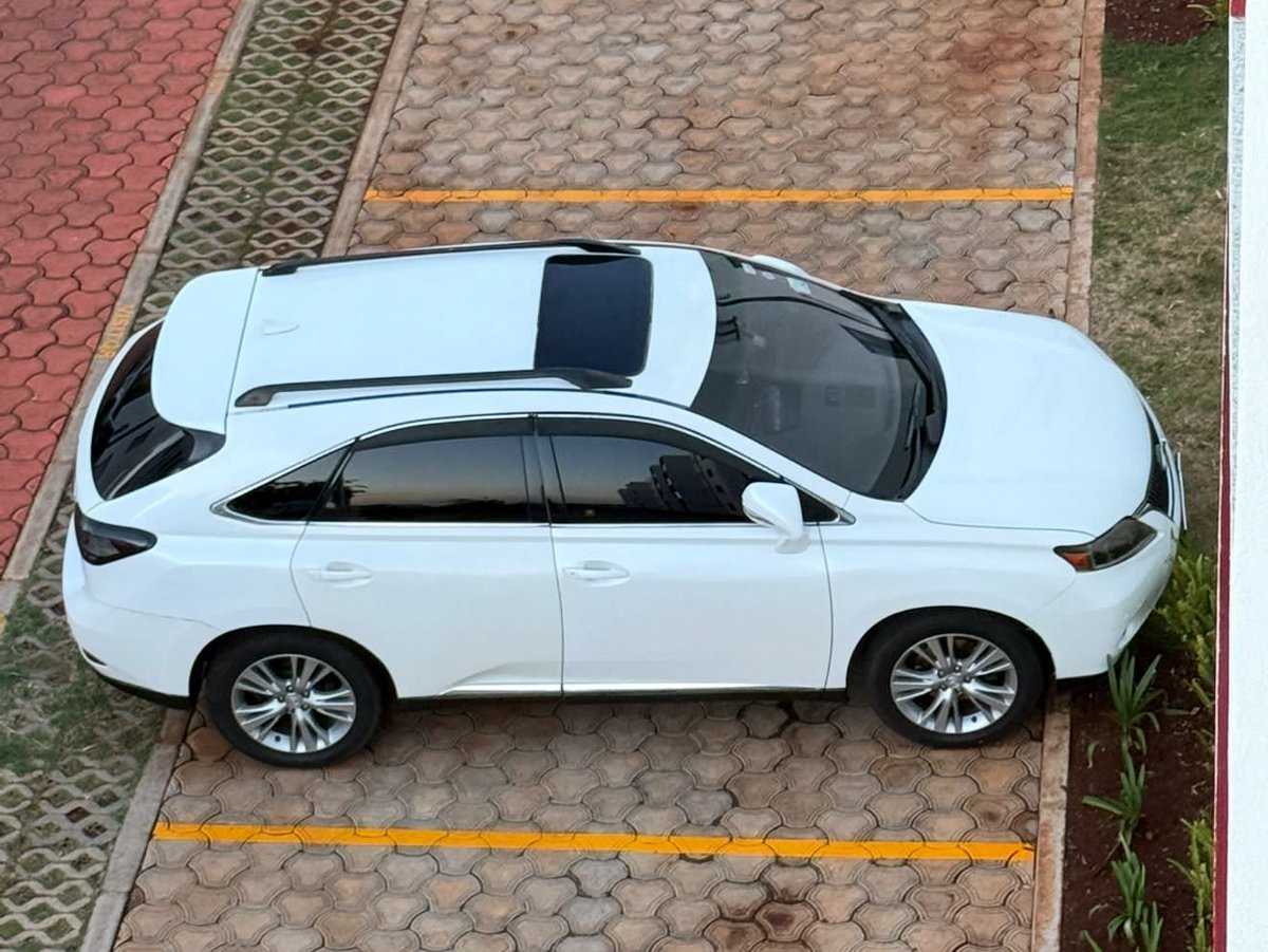 MÙSAKÙRÙ tweet media