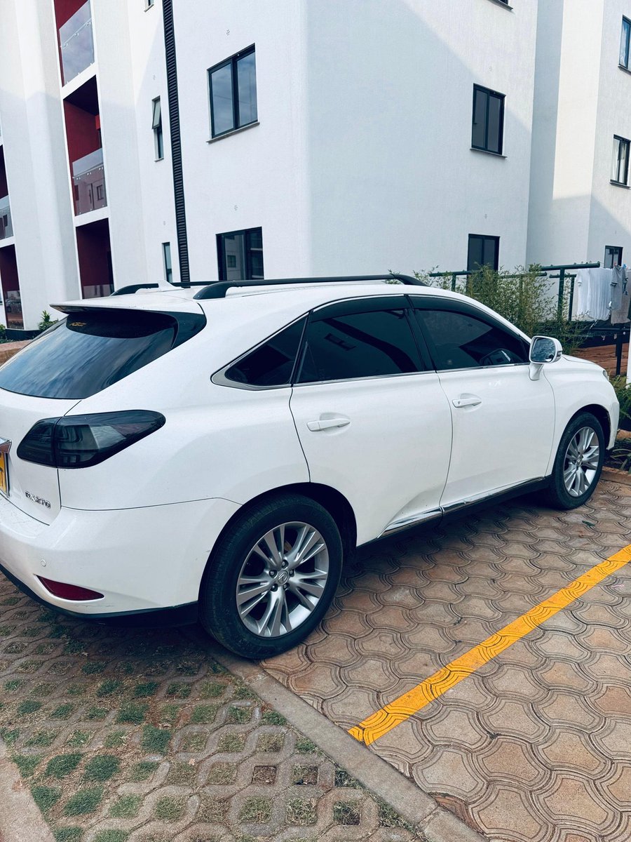 MÙSAKÙRÙ tweet media