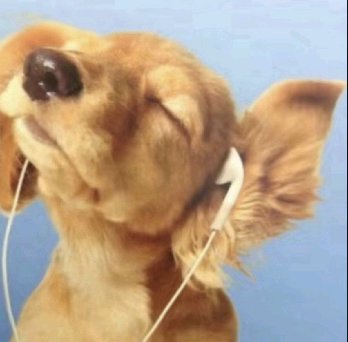jotmanjotman's tweet photo. how destroy lonely got me feeling on that interlude https://t.co/uE3CCE8z2U