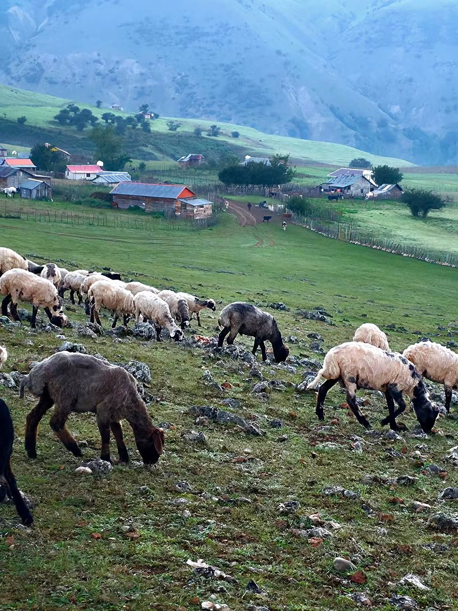 ای که گفتی جان بده تا باشَدَت آرامِ جان
جان به غم‌هایش سپردم، نیست آرامم هنوز
(ارتفاعات زیبای تالش)
📷 mojtaba