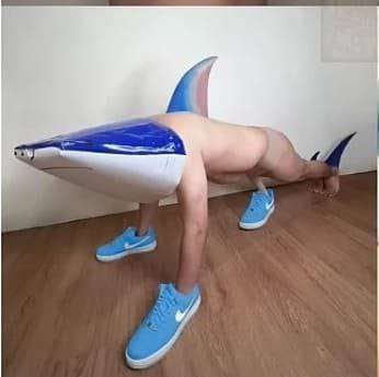 HeeHohovich tweet media