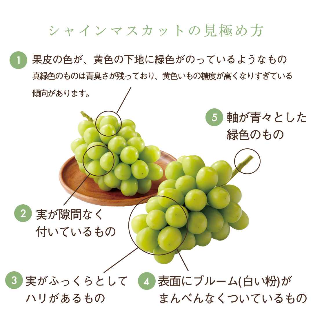 k_funasho's tweet image. 🍇おいしいシャインマスカットの見極め方＆保存方法

旬を迎えた #シャインマスカット をもっとおいしく✨
✔︎ おいしい房の見分け方
✔︎ 新鮮さを保つ保存のコツ
✔︎ よりおいしく食べるポイント

知っておくだけで、シャインマスカットがさらに楽しめます🍇✨
