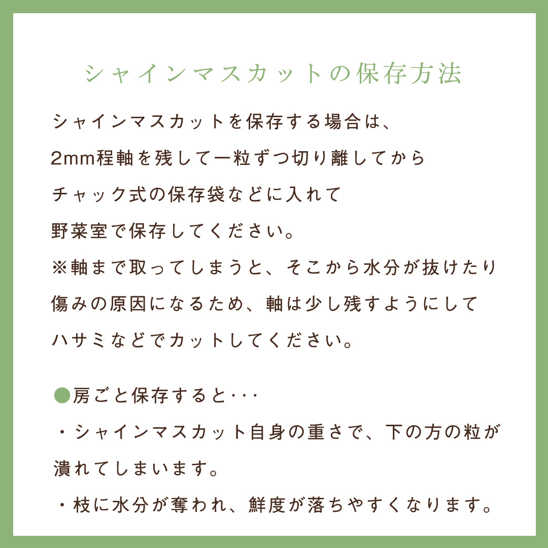 k_funasho's tweet image. 🍇おいしいシャインマスカットの見極め方＆保存方法

旬を迎えた #シャインマスカット をもっとおいしく✨
✔︎ おいしい房の見分け方
✔︎ 新鮮さを保つ保存のコツ
✔︎ よりおいしく食べるポイント

知っておくだけで、シャインマスカットがさらに楽しめます🍇✨
