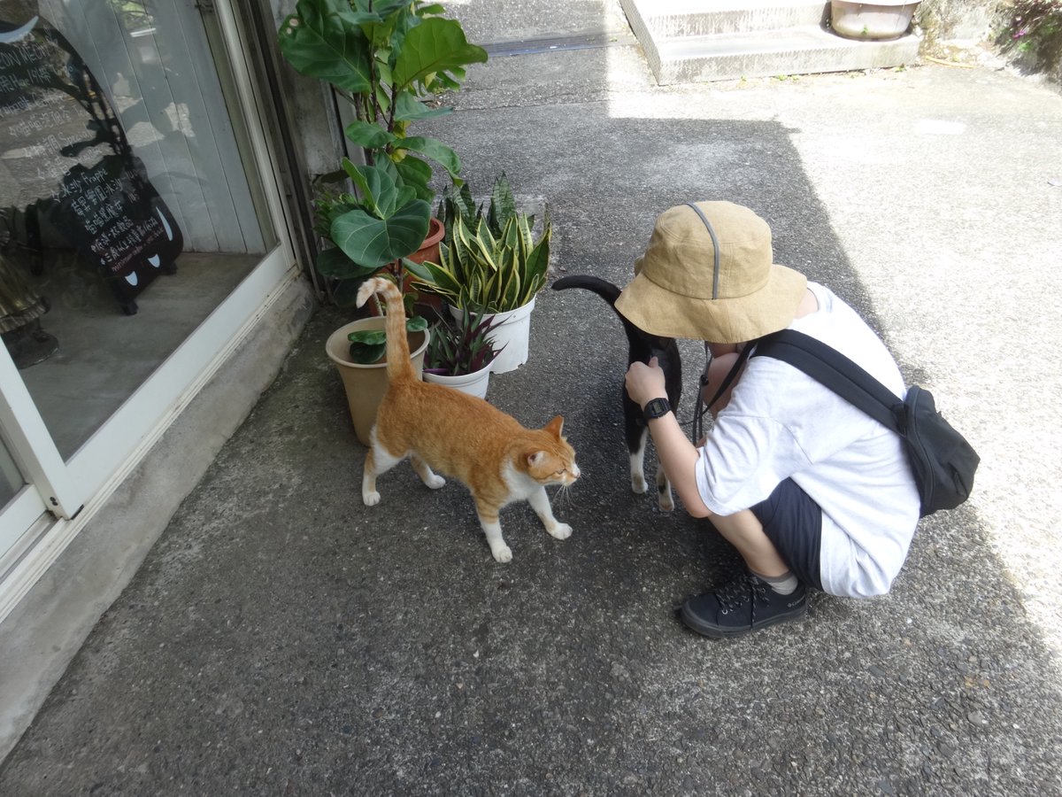 イシダ (@ofuoei) on Twitter photo 