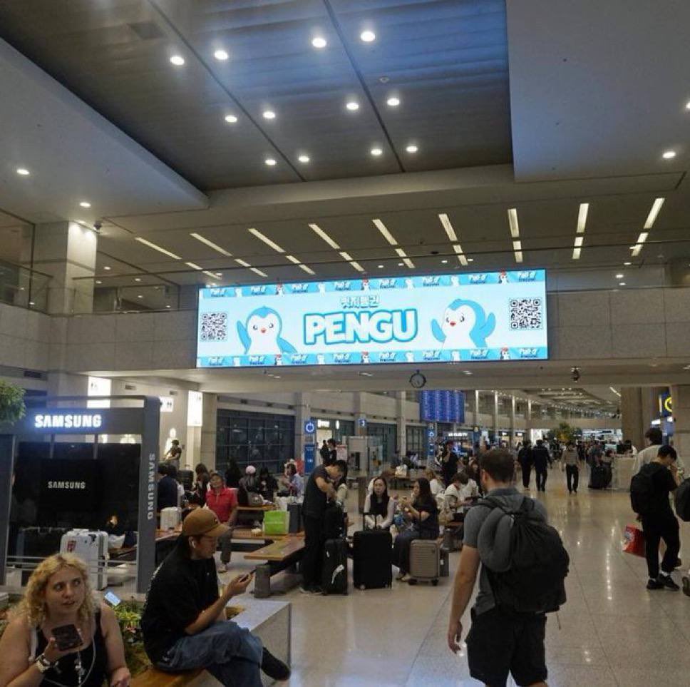 PENGU Asia tweet media