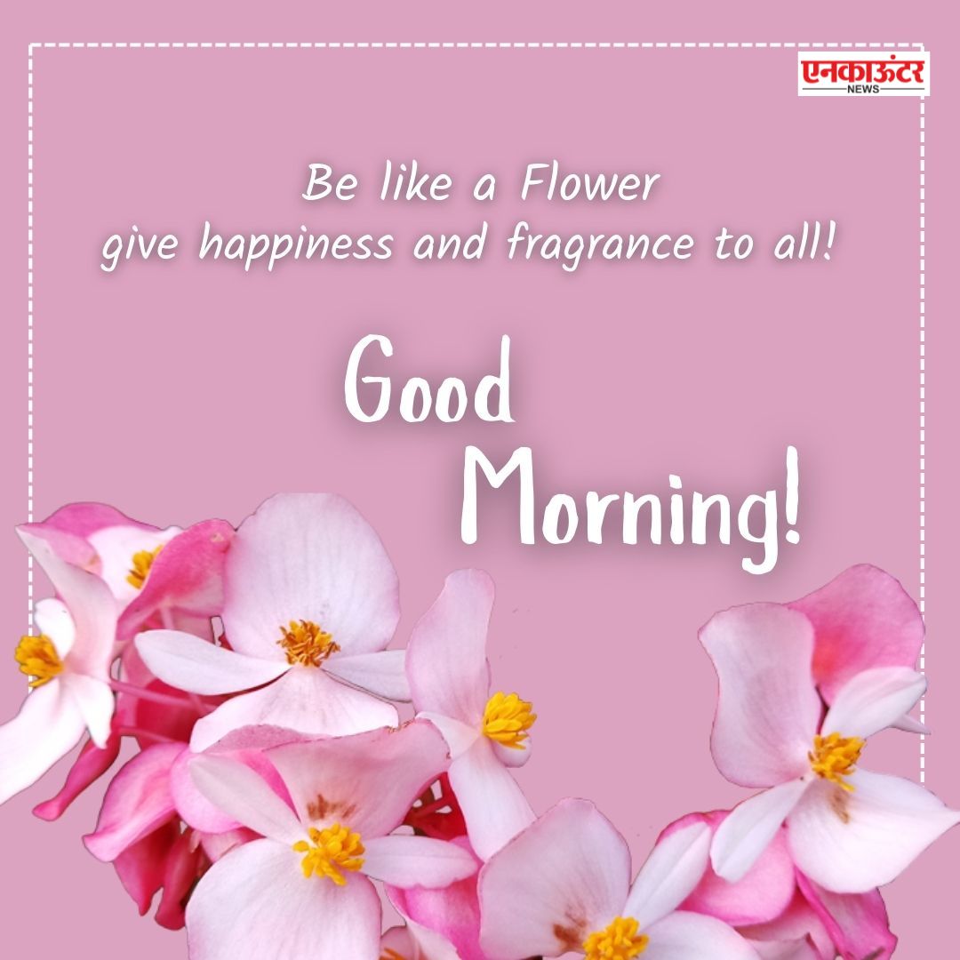 Encounter_India's tweet image. Daily Motivation 🥰✨ 

#GoodMorning  #thoughtscreatereality  #Flowersarebait  #Relaxation  #fresh #NewDAy  #Motivation  श्री राधे प्रेस कांफ्रेंस