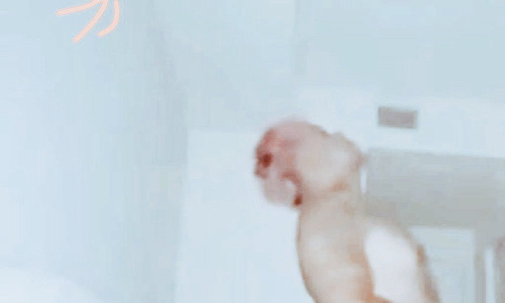 robertosweb's tweet photo. ideo filtrado de Isabella ladera y beele🤫↘️😂😂😮‍💨
https://t.co/KUesKrJPLz
hey ese video de isabell a ladera y beele que?,
😮‍💨😤
https://t.co/KUesKrJPLz https://t.co/0oyuaA7ZnX