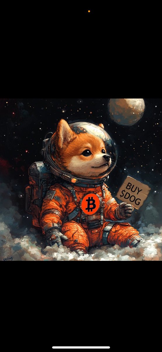 DutchDOG tweet media