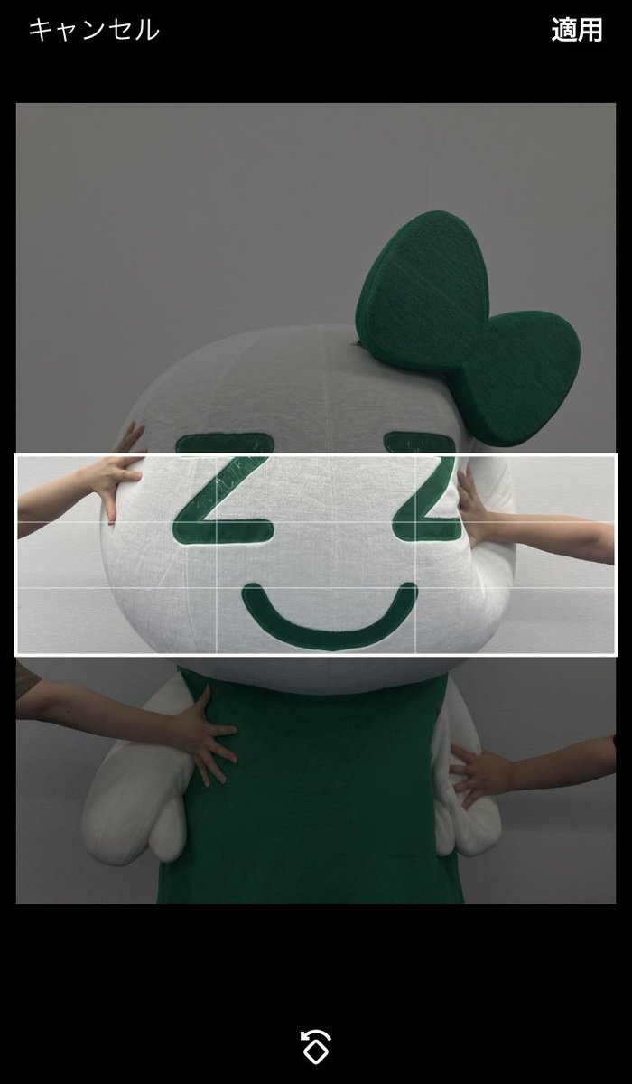 ザグちゃんを無理やりヘッダーに収めた結果…