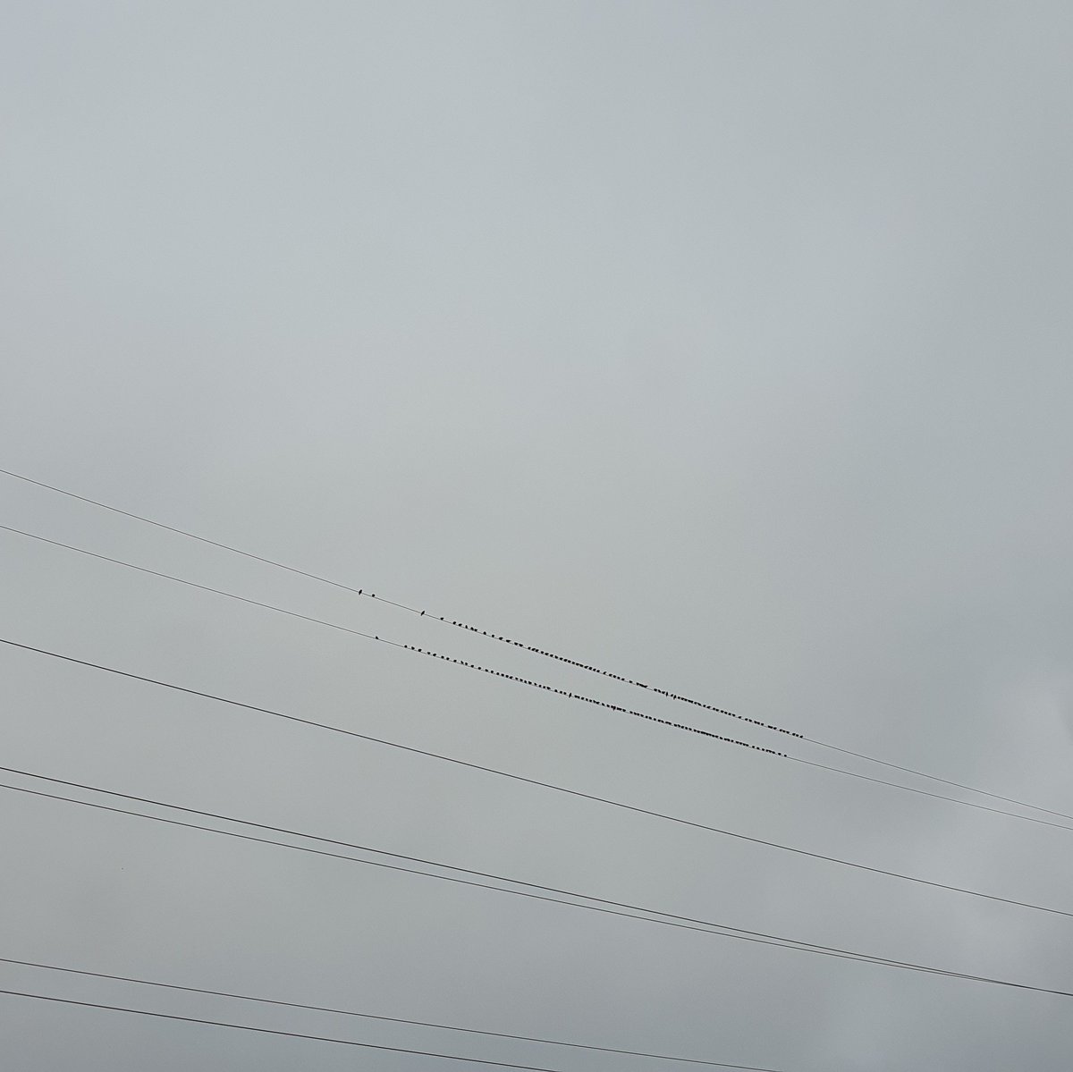 На первый-второй ращитась