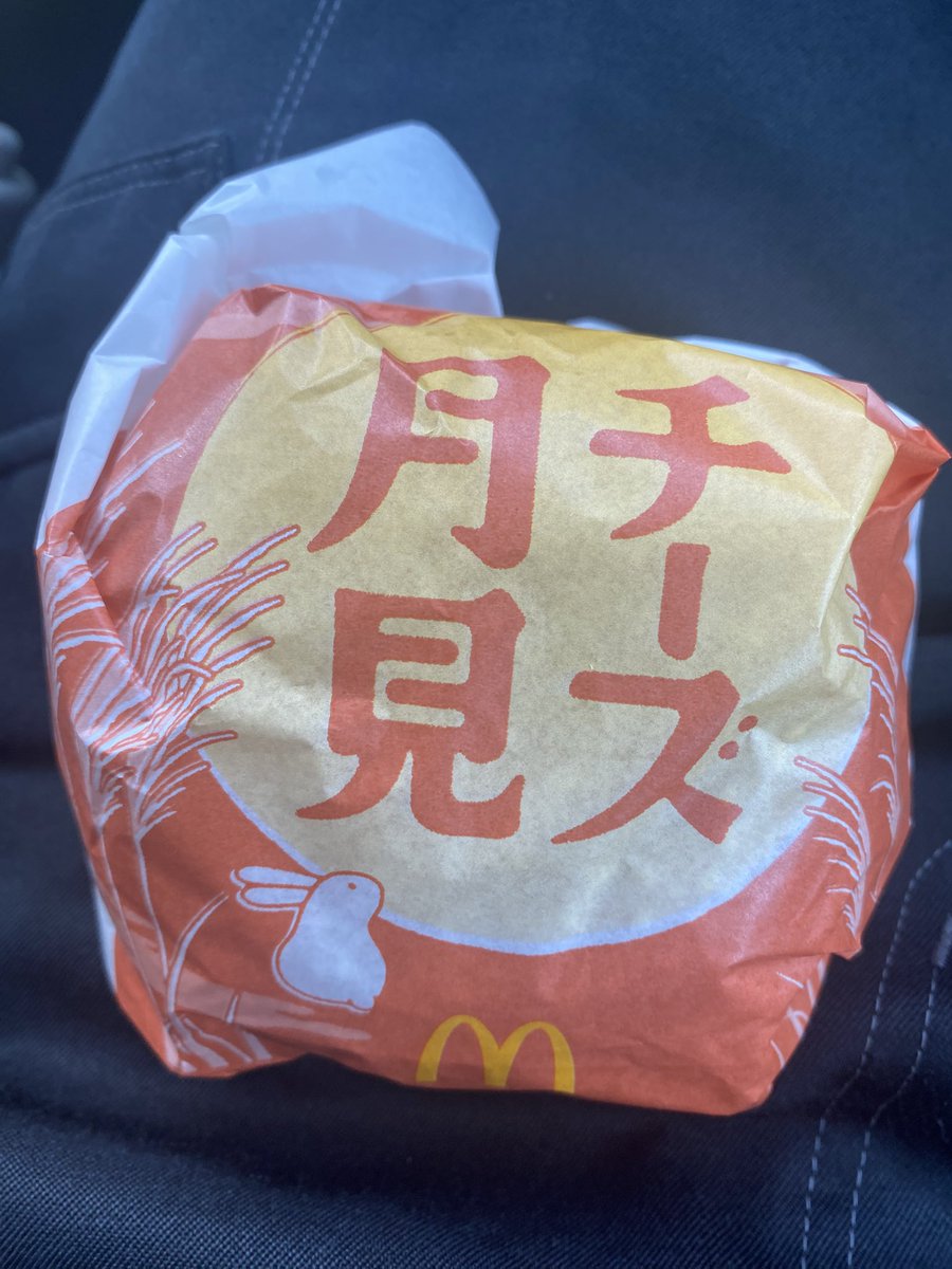 昔大好きだったチーズ月見バーガーすらラーメンの足元にも及ばない