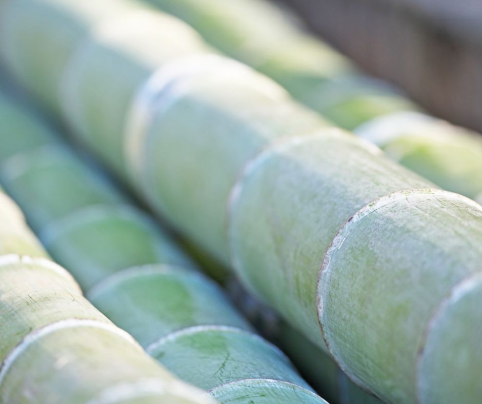 UK Bamboo Supplies tweet media