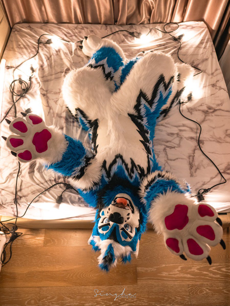 Bluee 🦋 social (@blusicurl) on Twitter photo Come get your weekend snugs! 
While stocks last! 🤭
#Fursuitfriday
📷:<a href="/rekirc/">Rek</a> 🖌: 💙 Come get your weekend snugs! 
While stocks last! 🤭
#Fursuitfriday
📷:<a href="/rekirc/">Rek</a> 🖌: 💙