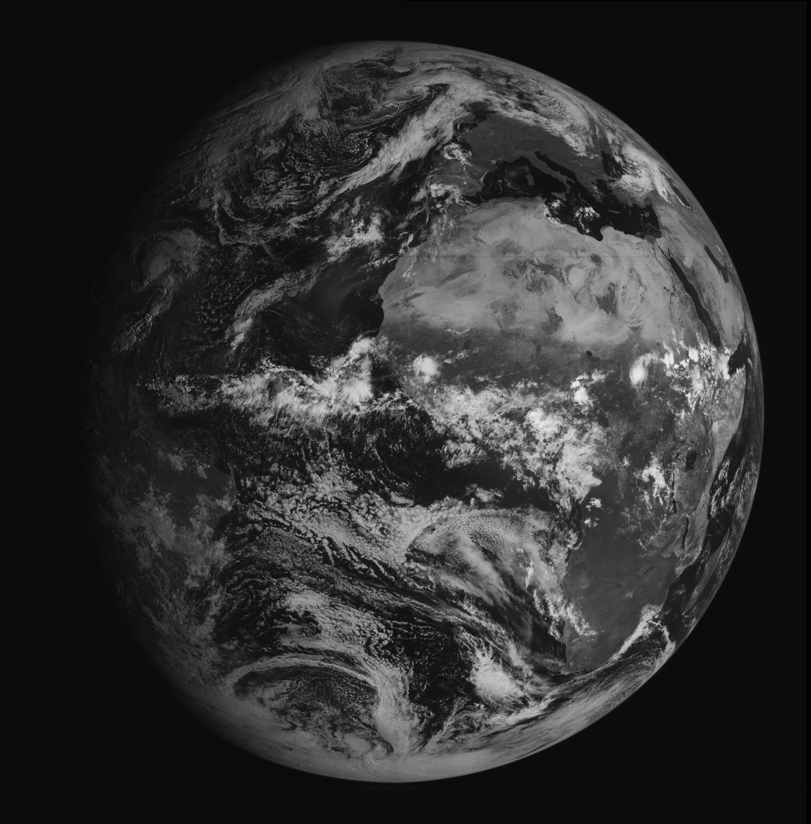 JM. 📡 tweet media