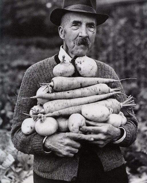 "How do you get through?
Sometimes you don't survive whole,
you just survive in part.
But the grandeur of life is
that attempt."

Toni Morrison
Reg Speller/Fox Photos/Getty Images