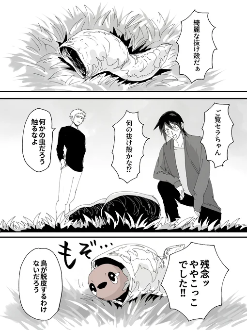 セラリズとややこっこときれいなぬけがら 