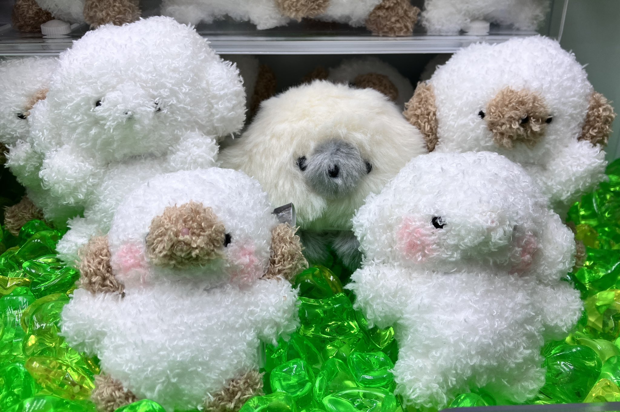 じょせまるマスコット　まるころ じょせまる マスコット | 商品紹介 | 株式会社パレード プライズ