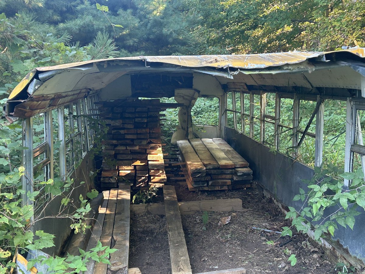 Another load of pine home from the island &amp; repiled in old bus body that I used for a calf hut when we were still calving cows One more big load to come home!
