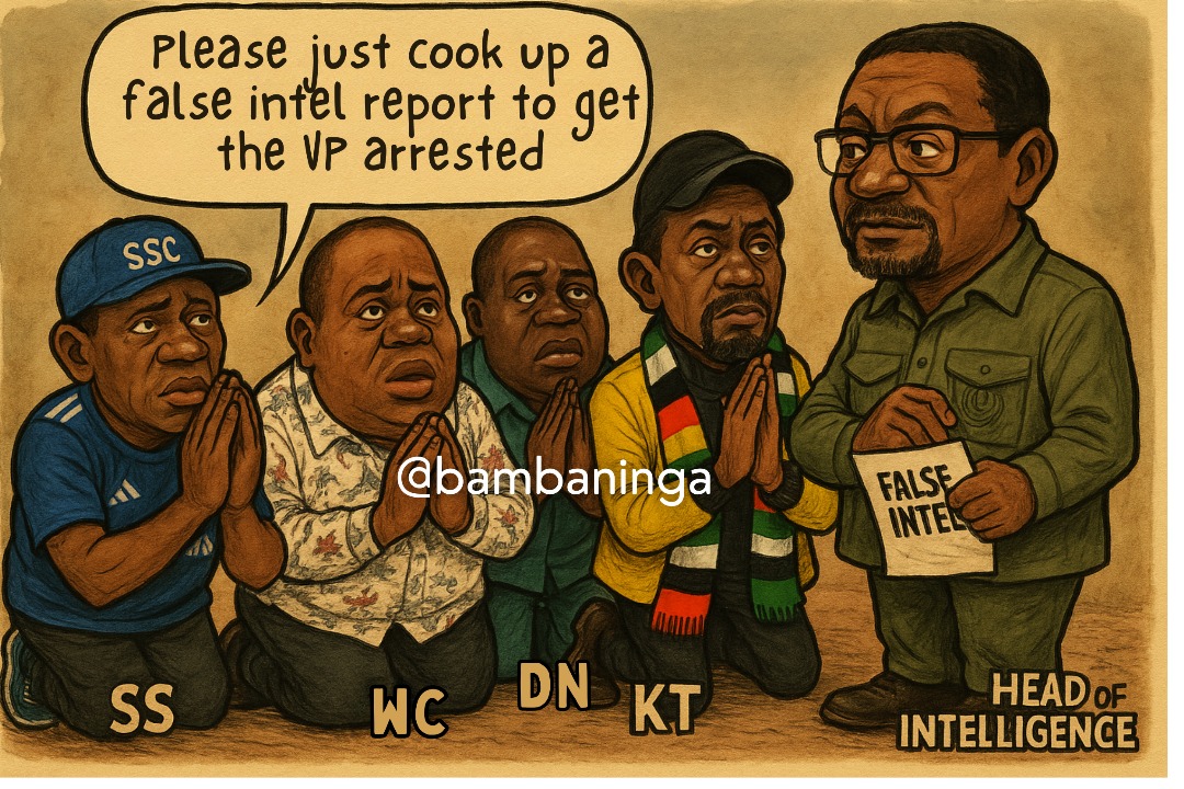 bambaninga's tweet image. Dear Zimbabweans, a lot is happening in our country, &amp;amp; the period leading to 13 October will define the kind of Zimbabwe we are going to be living under in the next 7-8 years. Well, Gen Chiwenga has set the cat among the pigeons, forcing President Mnangagwa to act on his corrupt…