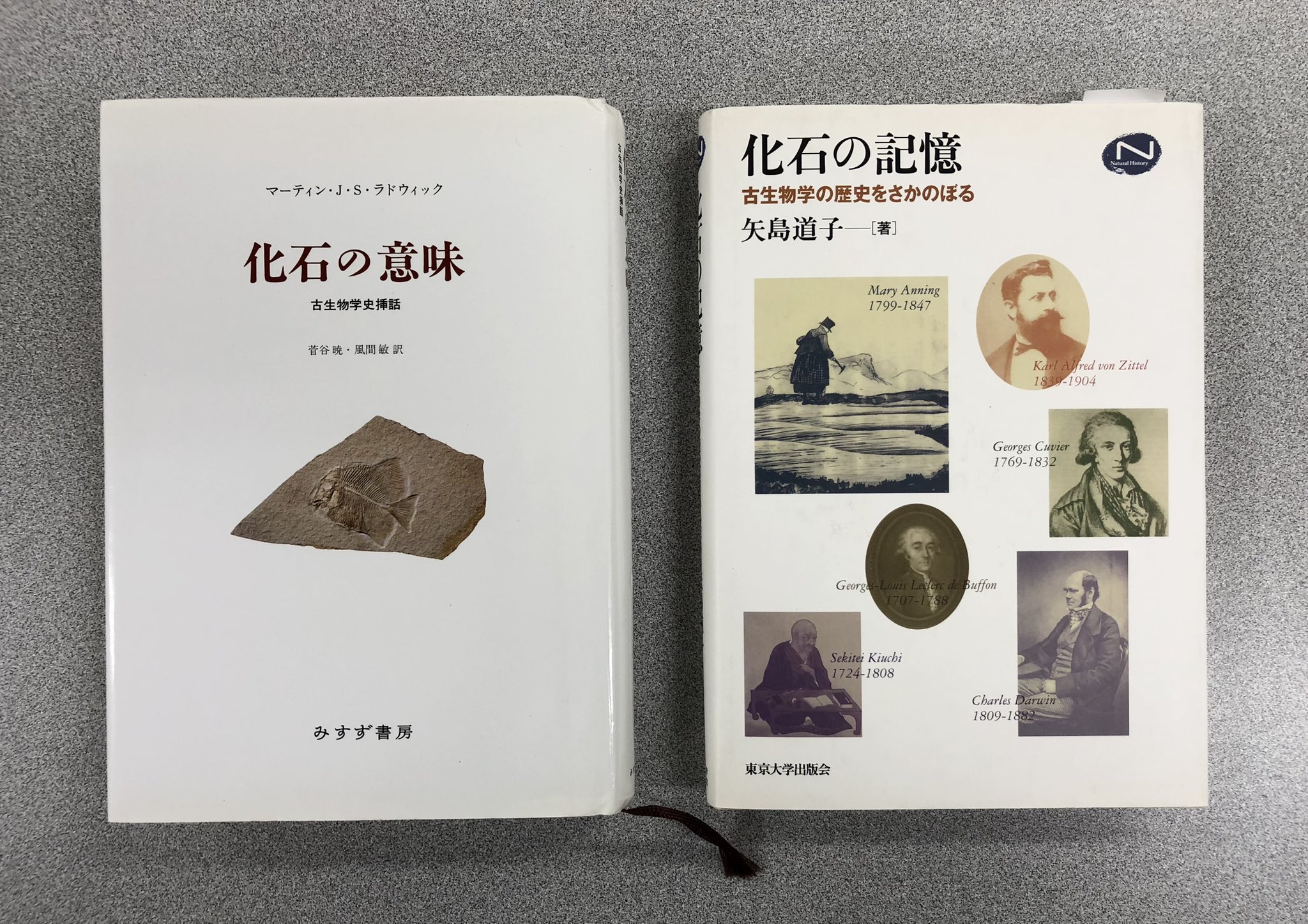 生物学の歴史 81nS7nwsqnL._UF1000,1000_QL80_.jpg
