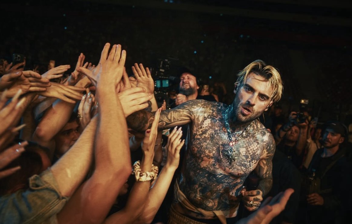 TurtleHype tweet media