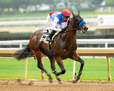 تصريح إعلامي

تعلن مزرعة فيصل بن محمد الجضعي القحطاني للإنتاج عن توقيع اتفاقية تعاون مع إسطبلات زيدان ريسنق المملوكة للمهندس/ عمرو بن فريد بن زيدان، وذلك في إطار دعم برنامج إعارة الأفحل الفئوية والنخبوية.

وقد وجّه مالك الخيل العالمي المهندس/ عمرو بن زيدان بمبادرة كريمة بإرسال