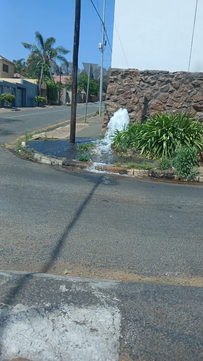 TypewriteSA's tweet photo. @JHBWater please attend to this broken fire hydrant corner Leicester and Royal Oak Kensington https://t.co/Tbe0obprct