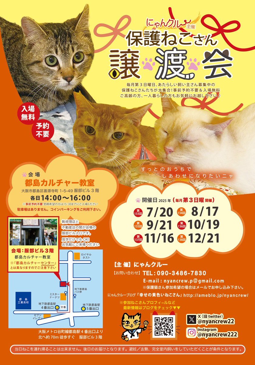 nyancrew22's tweet image. 譲渡して7年経つ黒猫マルティン、正式譲渡になって1か月余のももちゃん、どちらもハピにゃんに。
譲渡会で良い出会いがありますように。
#保護ねこ  #譲渡会　#にゃんクルー