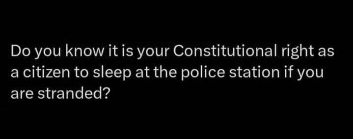 TheeLionessZw🦁🇿🇼 tweet media