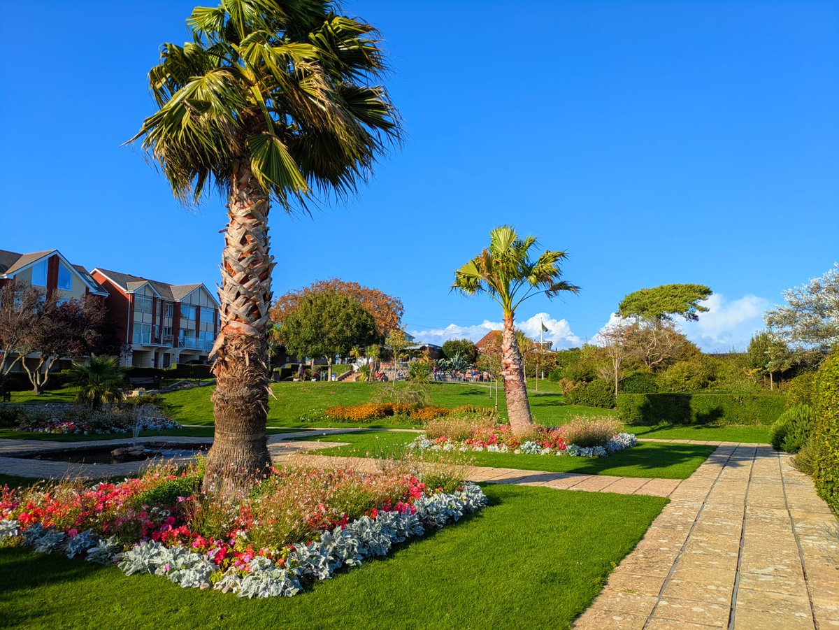 Visit__Weymouth's tweet image. 🙌 Happy Friday! To round off another week, here are some of our favourite moments from the past few days. We hope you have a lovely weekend. 🫶 

#WeymouthDorset #SeptemberDays #Greenspaces #WeymouthBeach #WeymouthHarbour #VisitWeymouth