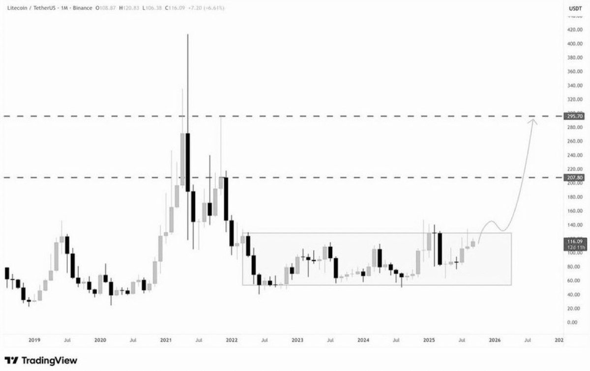 Jonny Mitchell tweet media