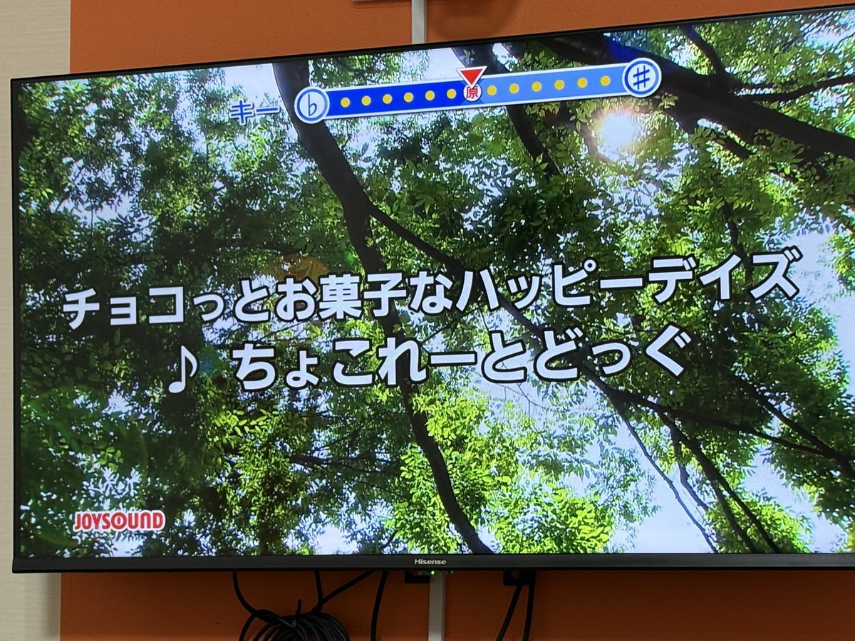 ちょこれーとどっぐ公式 tweet media